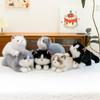 Cute Ragdoll Cat Plush Toy Children's Soothing Cat Doll Cute Pet Home Ornaments Birthday Gift
