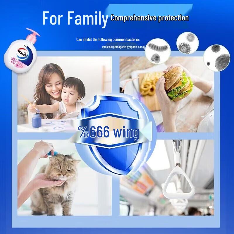 Walch Antibacterial Hand Soap