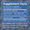 Akkermansia Muciniphila Probiotica - 120 capsules