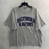 Baltimore Ravens Mens T Shirt NFL Football Gray Graphic XL Cotton Vintage Crew