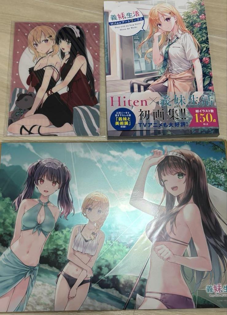 [USED] Stepsister Life Art Book Metal Poster Clear File