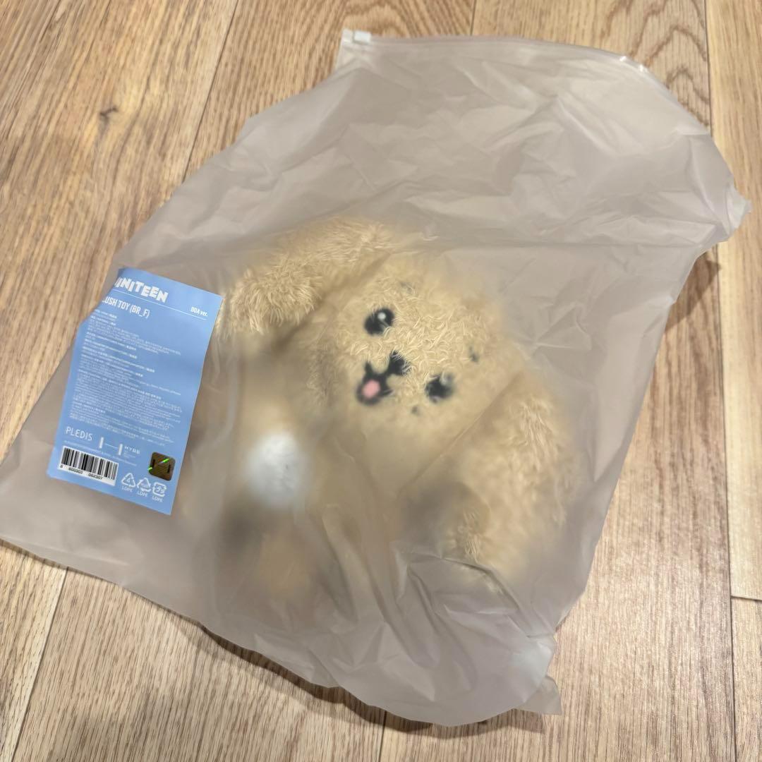 

[USED] Pop-up SEVENTEEN MINITEEN Plush Toy DK