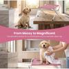 Pet Grooming Rack Pet Bath Stand Mesh Bathing Station Foldable Metal Structure With Surface & Strap For Pet Washing Maintenance