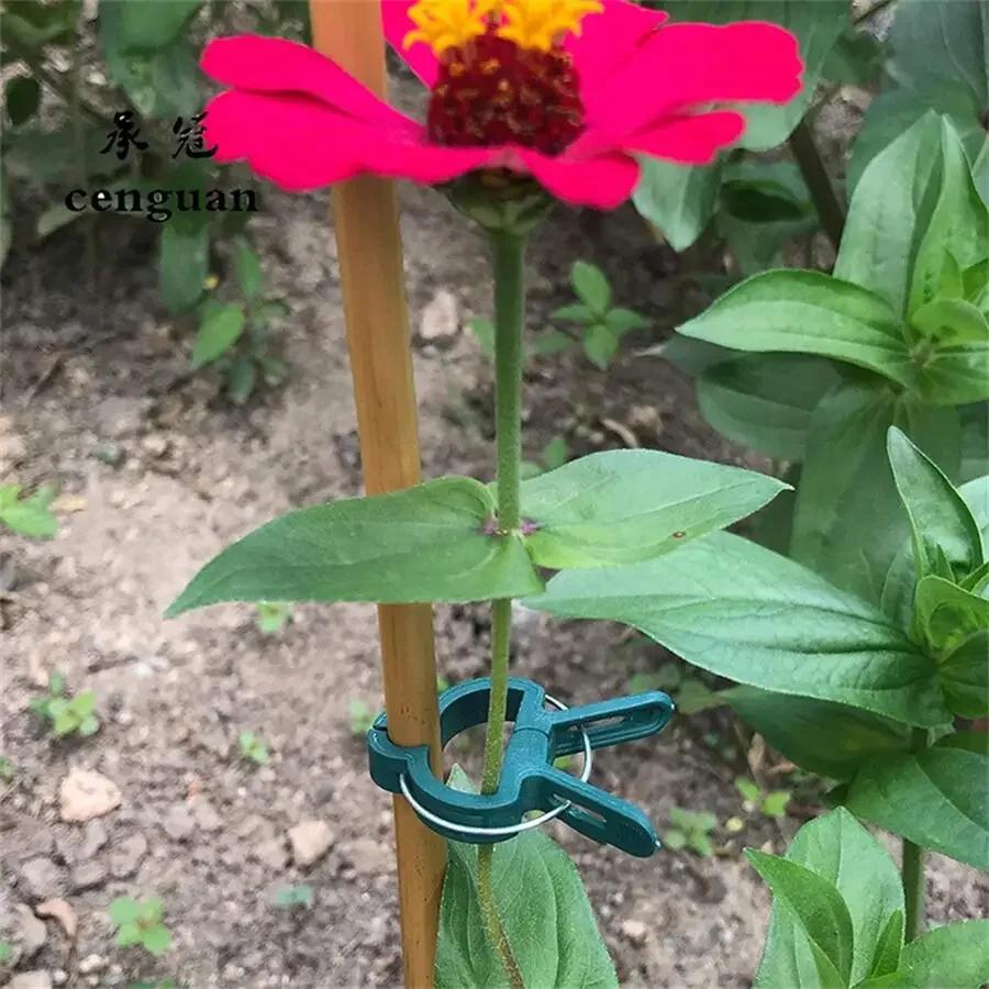 Plant Clips Reusable Greenhouse Bracket For Fixed Plants Vine Flower Seedling Tomatoes Support Garden Supplies