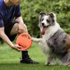 Cães – Brinquedos para cães