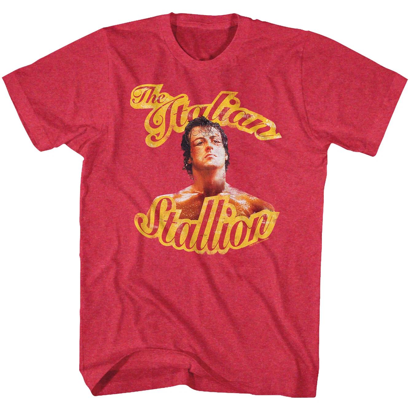 Rocky Movie The Italian Stallion Photo Rocky Balboa Swollen Eye Men s T Shirt L