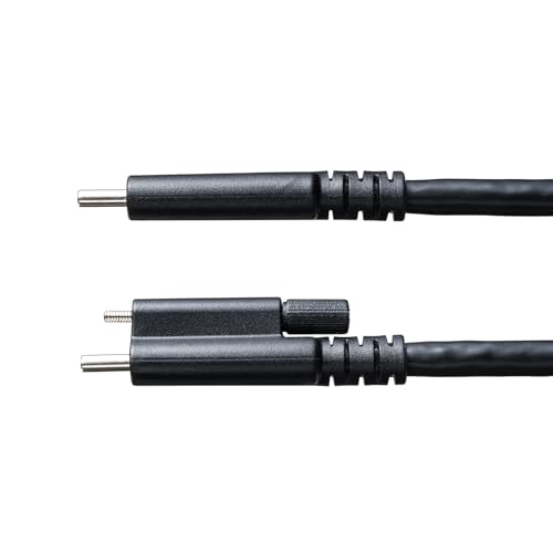 Sanwa Supply USB 20Gbps Type-C Cable (Single Screw Lock, 240W, 2m) KU-20GCCPESSL20