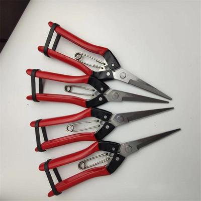 Pointed Scissors Convenient Ergonomic Design Non-slip Handle Fits The Palm Ease Of Use Flower Pruning Garden Fruit Shears Cozy