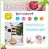 OKBABY Koinobori for Day no in a Paulownia Wood Gift Wrapping (Carp Streamer) - Wooden, Boys' (Tango Sekku), Box, 26.5cm Tall, Available.