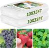Cross-Border Agricultural Greenhouse Insect Net: Nylon Mesh for Vegetable Growth and Garden Protection