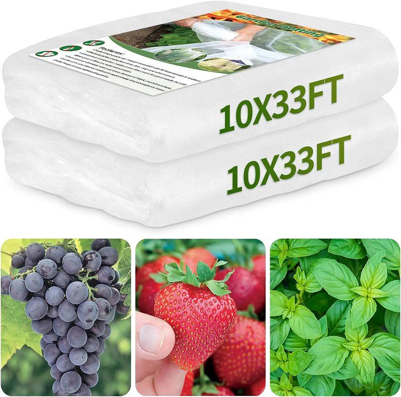 Cross-Border Agricultural Greenhouse Insect Net: Nylon Mesh for Vegetable Growth and Garden Protection