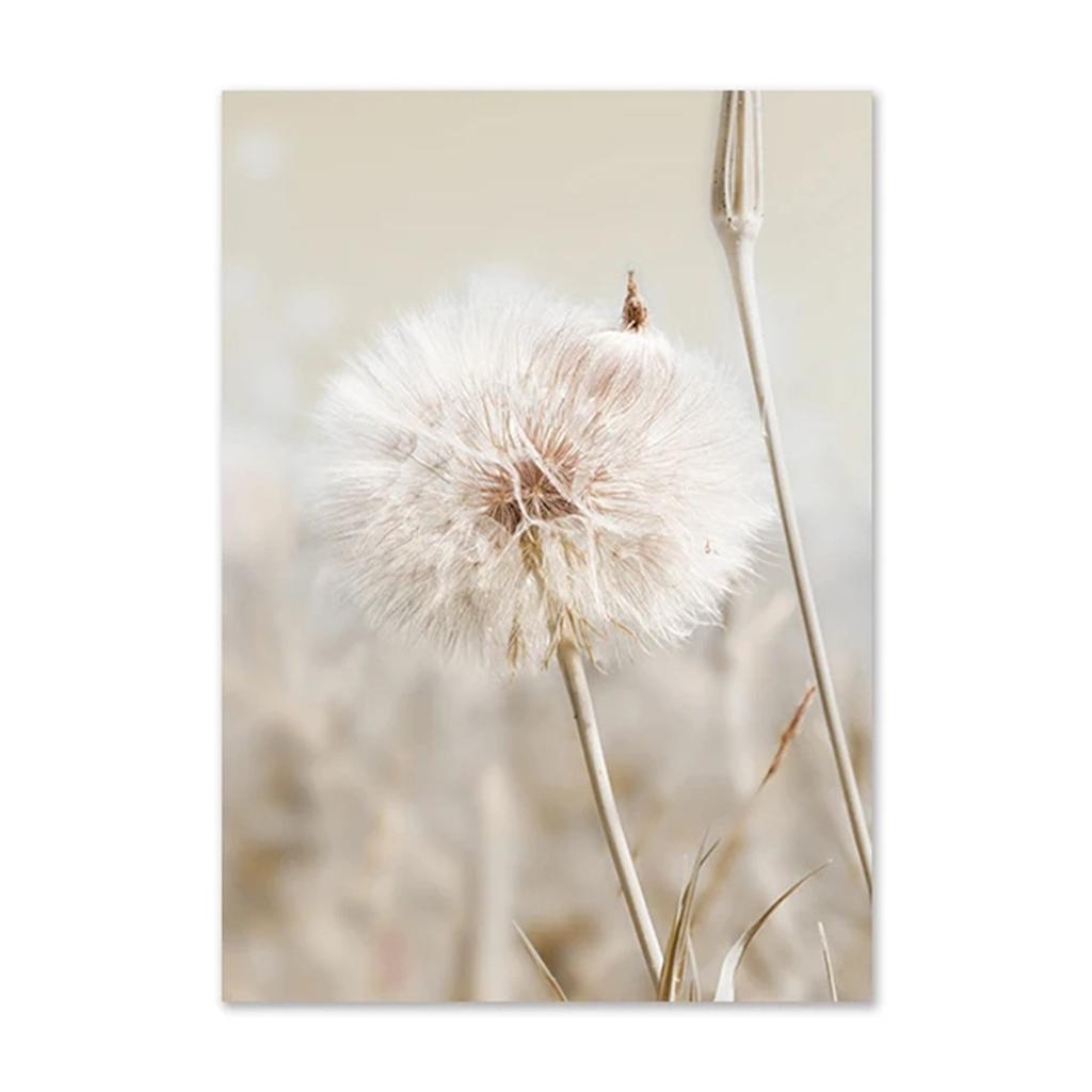 Nordic Beige Dandelion Painting Poster Reed Canvas Art Print Flower Posters Bunny Tail Grass Wall Art Picture Living Room Decor