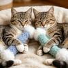 Kedi – Kedi Oyuncakları