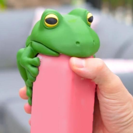 Frog Can Lid Lily Pad Cup Holder Set Reusable Soda Can Cover Secure Can Lids with Cup Holder Whimsical Drink Accessories