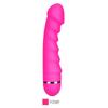 Vibrator cu 10 moduri Dildo din silicon moale Penis realist Motor puternic Stimulator clitoridian pentru punctul G Masturbator feminin Jucării sexuale pentru adulți