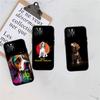 CJ16 Beagle Dog Soft Shell Phone Case for iPhone 16 15 14 13 12 Pro Max Plus Mini