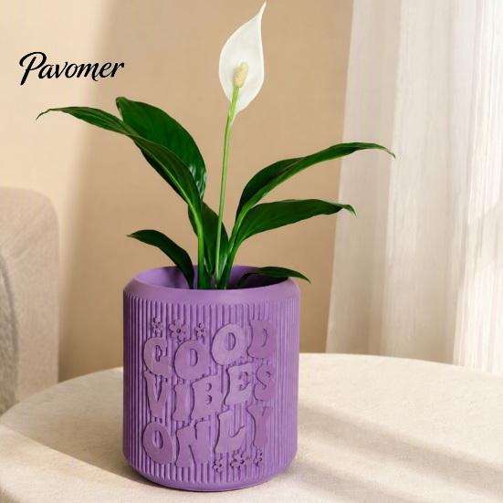 Small Containers for Indoor Gardening 3D Printed Planter, Good Vibes Only Flower Pot, Minimalist Plant Holders Windowsill Cute Cactus Container