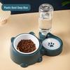 Pet Bowl: 2-in-1 Cat & Dog Feeding and Water Bowl