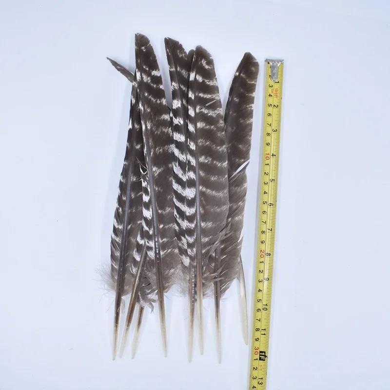 10Pcs Real Natural Eagle Feathers for Crafts Decoration Turkey Pheasant Carnival Hats Accessories Feather Decor Plumes Headpiece