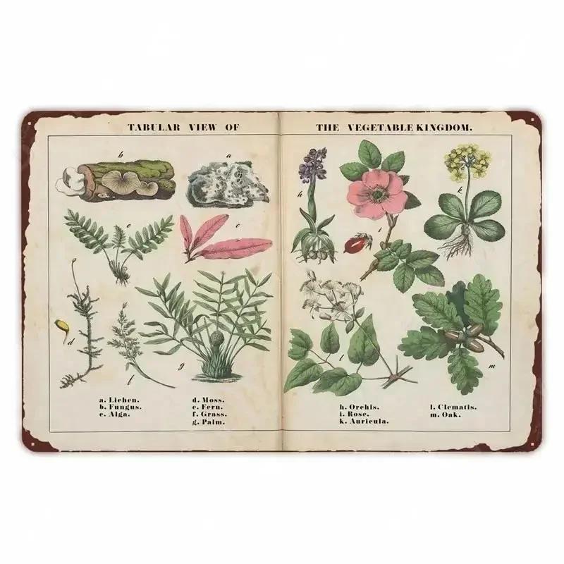 Retro Vegetable Plants Poster Vintage Fruits Metal Tin Sign Cauliflower Wall Art Sign Garden Kitchen Farm Flowers Plate Decor