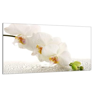 Szklana płyta ochronna na kuchenkę 90x52 Orchidea