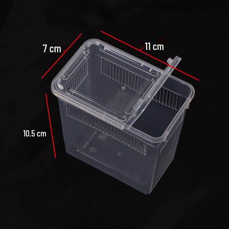 Reptile Feeding & Breeding Box for Spiders, Geckos, Frogs, Beetles, Silkworms, and Snakes. 11x7x10.5 cm (LxWxH)