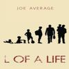 L of a Life by Joe Average Paperback Book 9781800749665
