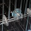 Parrot Bathtub Birdcage Bathing Tub Budgies External Bathroom Cage Decors