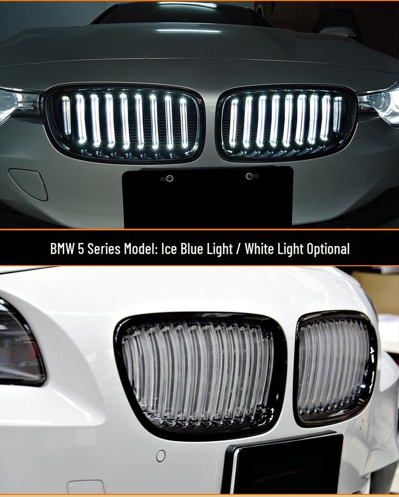 Illuminated Front Grille for BMW 5 Series F10/F18 (2010-2016) Models