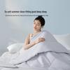 Mercury Home Textiles All-Season Thin Quilt