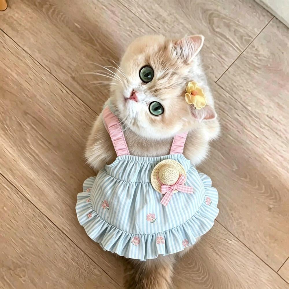 3D Hat Cat Dog Dress Sleeveless Cat Dog Outfit Cute Pet Sundress  Pet Supplies