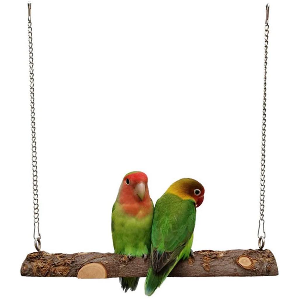 parakeet swing