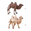 Lebensechtes baktrisches Kamel Modell Figur für Heimdekoration Modell Kamele Tier Spielzeug Auto Tischdekorationen Kinderspielzeug