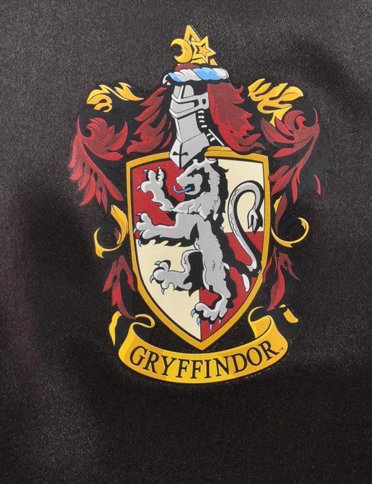 Déguisement et accessoire Harry Potter luxe enfant