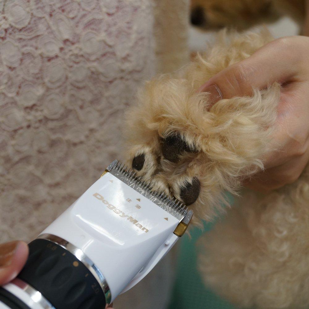 Doggyman Home Barber Expert Style 5W