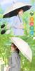 Sun Fully Long Rain and 8 Black Coating Blocks Reflected Heat Shielding down to degrees Teflon Large 102cm [Radweather] Umbrella, Sun-Blocking,