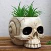 Resin Skull Shaped Flower Pot Gothic Succulent Planter Holder Ornament for Home Office Decor