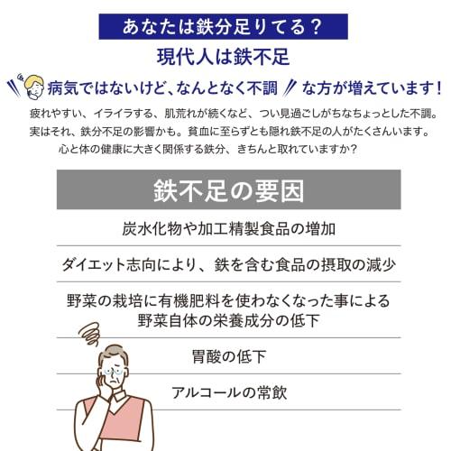 PEARL METAL Iron Supplement Plate, Fe Supplement HB-5000, Silver