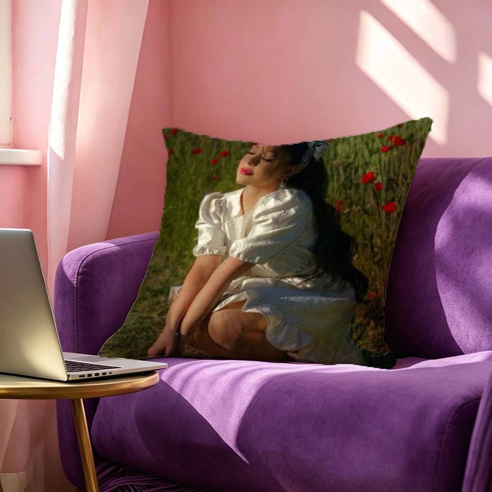 AAyliva Singer Pillow Case Square DoubleSided Sofa Cushion Cover Bedroom Bedside Pillow