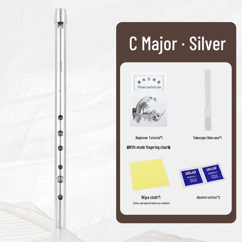 

Penny Irish Tin Whistle - C & D Keys, Six-Hole Recorder, Soprano Flute for Beginners & Professionals, Ideal for Children and Students