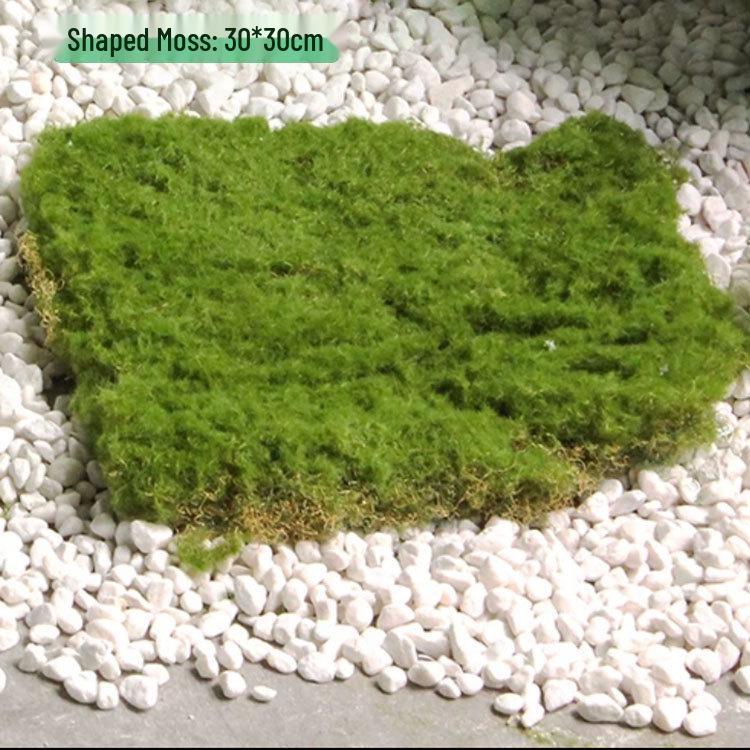 Artificial Moss Turf Carpet for Indoor & Outdoor Decoration