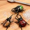 1/3Pcs Simulation Animals Home Desk Decoration Accessory Laser Dazzle Clockwork Big Beetle Model Unique Kids Gift Idea