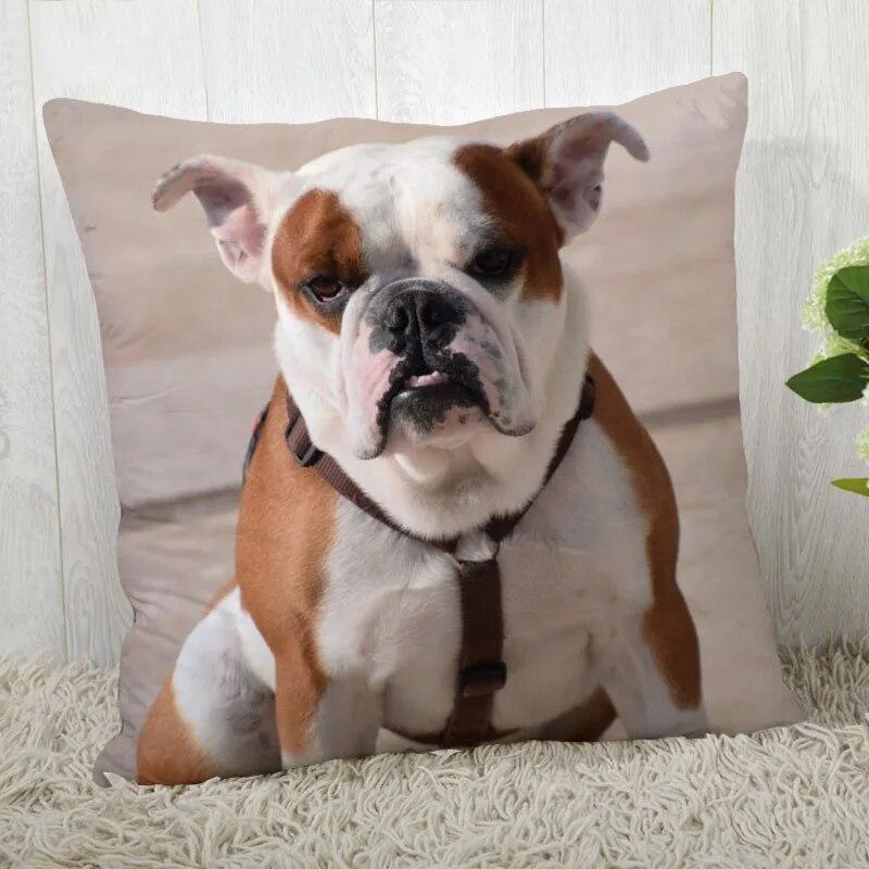 Pillowcase Bulldog  Modern Home Living Room Decoration