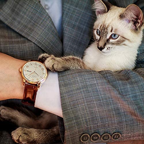 Stilvolle, einfache, beliebte, wasserdichte, analoge Armbanduhr mit römischen Ziffern, Marken-Business, dünne Quarzuhr mit Lederarmband, Roségold/Schwarz [BUREI] Herren –
