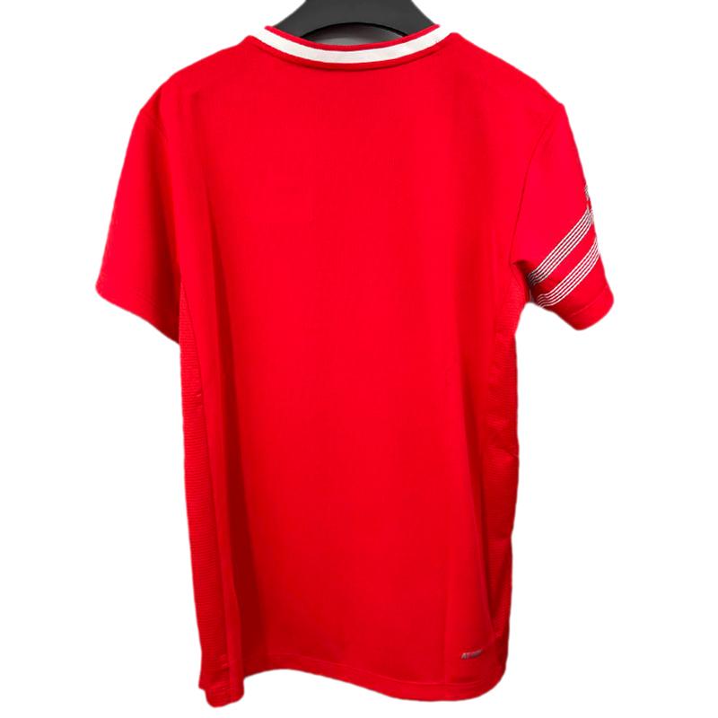 Li-Ning Quick-Dry Comfortable Casual Breathable Sports Training V-Neck Pullover Short Sleeve Badminton Shirt Men Tops Red AAYV051-5