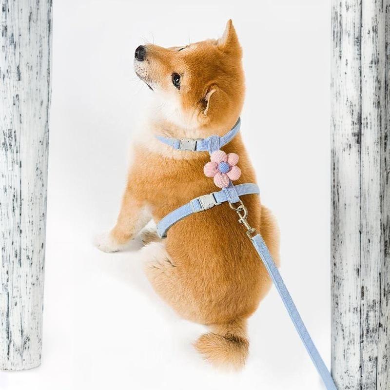 Cat Harness and Leash Set Adjustable Lightweight Escape Proof Vest for Small Cat Kitten Outdoor Camping Hiking