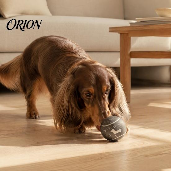 Cute Dachshund Pattern Pet Supplies Latex Squeaky Dog Ball, Interactive Fetch Pattern, Elastic Bouncing Balls for Puppy Training Chew Toy Small Medium