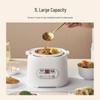 Versatile Electric Ceramic Stew Pot with Automatic Functions for Soups and Health Preservation