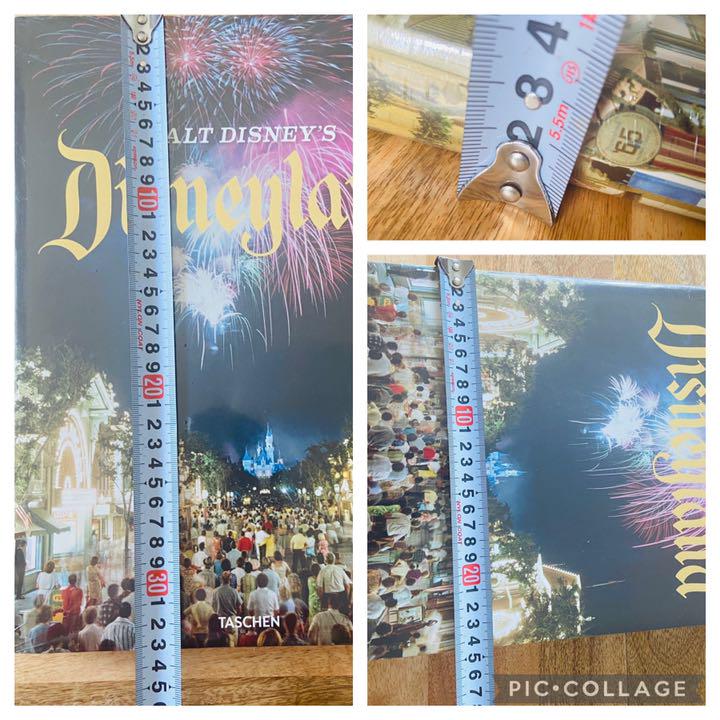 [USED] American Imports Instagrammable Disney's Disneyland