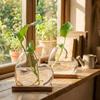 Transparente herzförmige Vase Dekorative Tischvasen für Pflanzen Pflanzenvermehrungsstation Büro